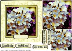 Purple and White Floral Quick Card