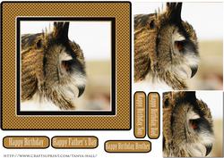 Eagle Owl, Birthday or Father's Day Quick Card
