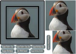 Arctic Puffin Father's Day, Birthday Quick Card
