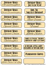 Birthday Sentiments to Match the Long Dl Card