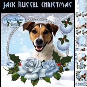 Jack Russel Christmas Card Kit