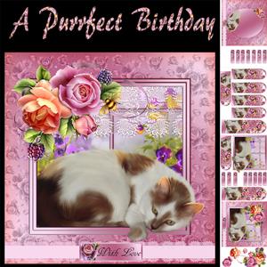 A Purrfect Birthday Cat Card Kit