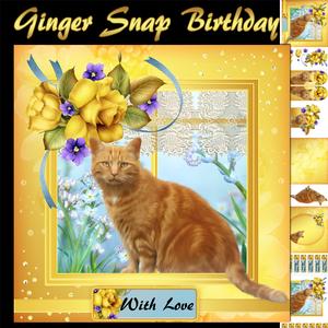 Ginger Snap Birthday Cat Card Kit