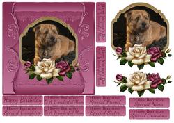 Border Terrier Oil Painting in a Cameo Quick Card