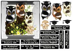 Triple Owl Graduation Congratulations Step by Step