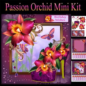 Passion Orchid Mini Card Card Kit with Shoe