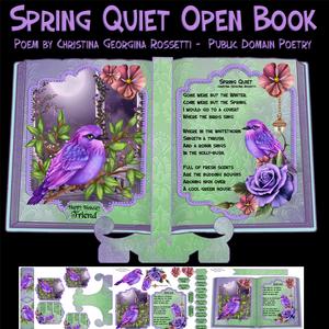 Spring Quiet, Open Book Birthday Mini Kit