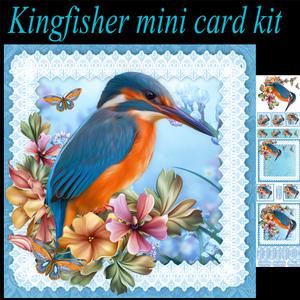 Kingfisher Birthday Mini Kit