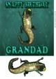 Fun Grandad Snappy Birthday Card Front