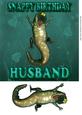 Husband Fun Birthday Card Snappy Birthday