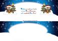 Large Dl Christmas Owl Insert