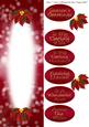 Red Poinsettia Champagne Insert to Match the Dl Card