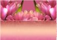 Two Mother's Day Floral Backgrounds