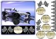 Bmw Racing Car Quick Card with Model Formula 1 Car