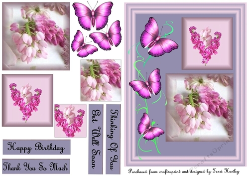butterfly pink