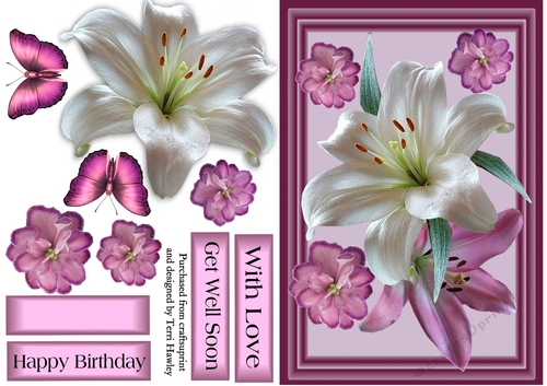 beautiful lilies