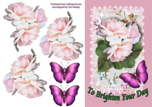 roses and butterflies brighten