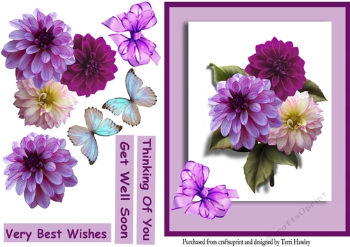 beautiful  dahlias