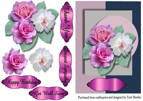 beautiful rose greetings