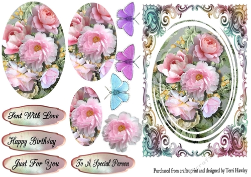 beautiful roses