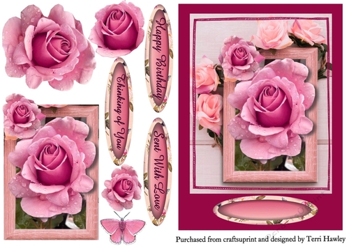 beautiful pink rose greetings
