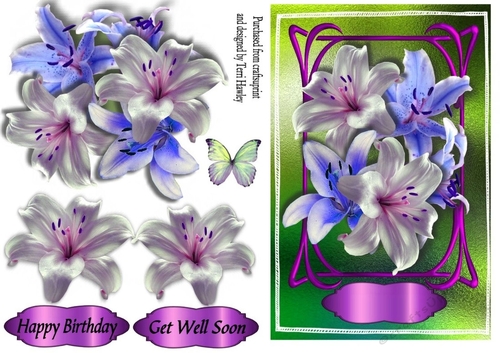 blue lily greetings
