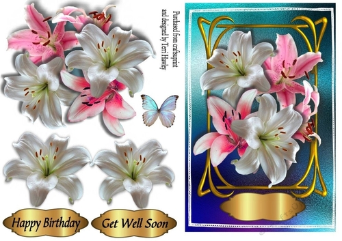 pink lily greetings