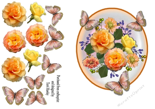 beautiful orange rose greetings