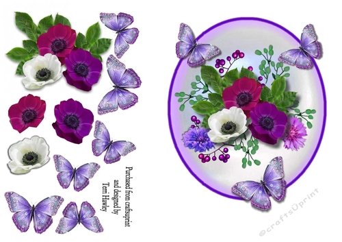 beautiful anemones