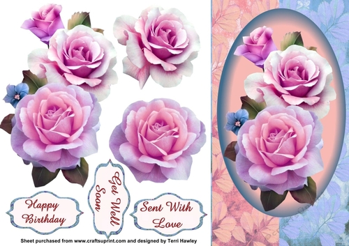 rose and many greetings blue and pink