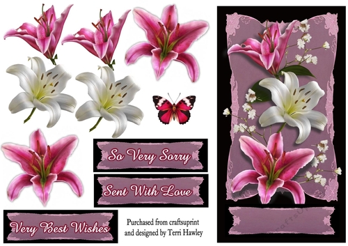 pretty lilies
