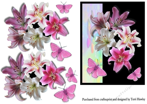 pink lilies
