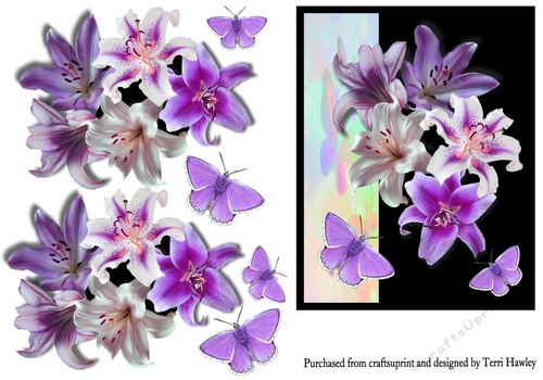 lilac lilies