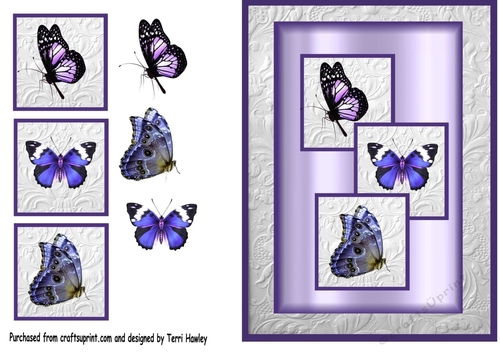 blue butterflies