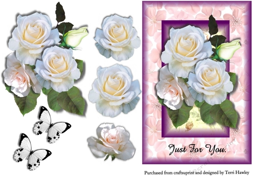 just for you white roses