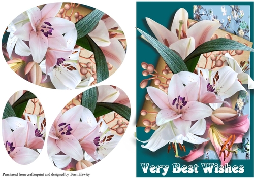 very best wishes lilies