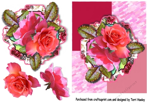 roses for many reasons