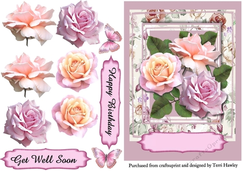 beautiful rose greetings