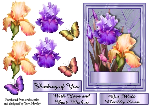 beautyful irises
