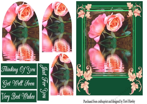 roses by the stream