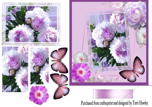 lilac greetings