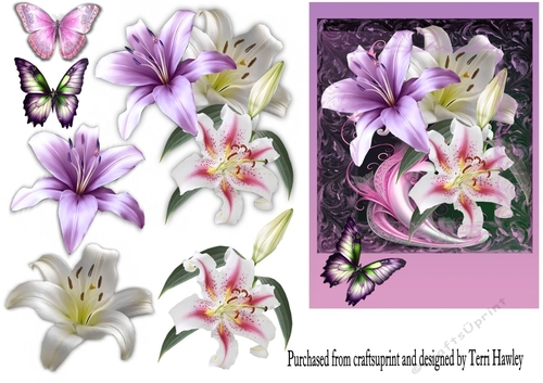 Beautiful lilies