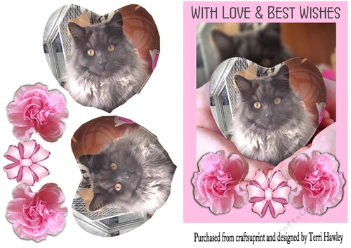 sweet kitten greetings