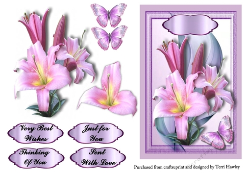 lily delight