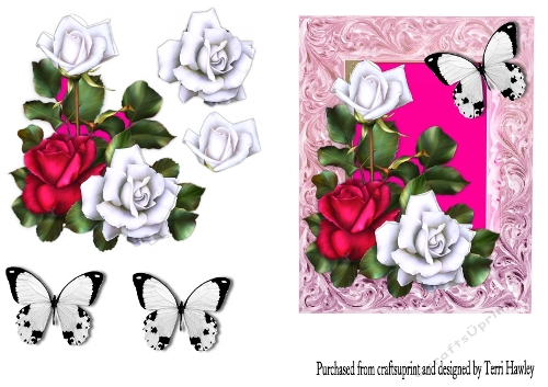 roses and butterflies
