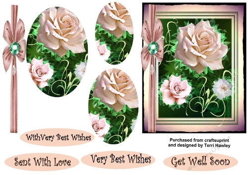 cream rose greetings