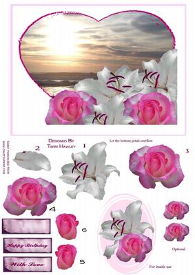 Rose by the Sea 2