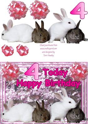 Bunny 44