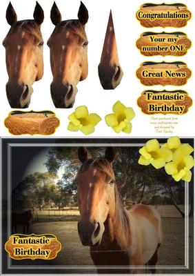 Fantastic Horse