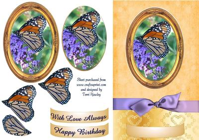 Butterfly Frame 3